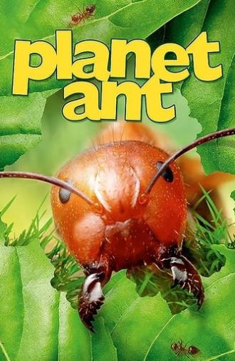 Planet Ant: Life Inside The Colony (2013)