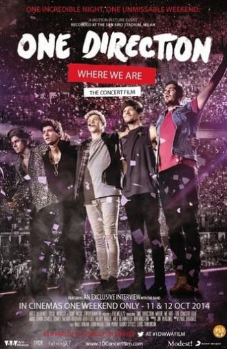 One Direction: Where We Are - The Concert Film (2014)