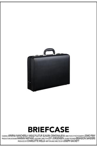 Briefcase (2016)