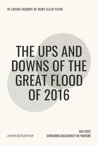 The Ups and Downs of the Great Flood of 2016 (2022)