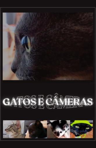 Cats and Cameras (2026)