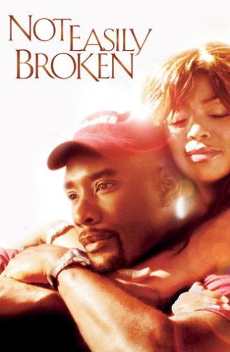 Not Easily Broken (2009)