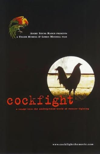 Cockfight (2001)