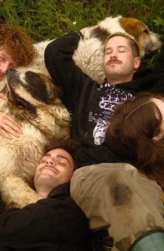 Animal Bridge - Every soul needs a home (2025)