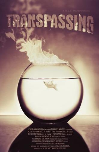 Transpassing (2024)