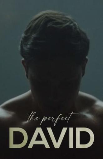 The Perfect David (2021)