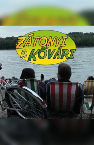 Zatonyi and Kovari (2015)