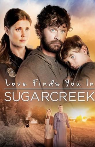 Love Finds You In Sugarcreek (2014)