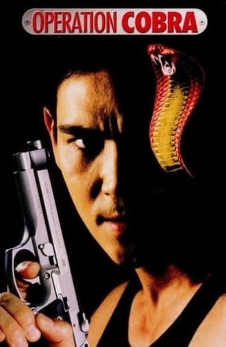 Operation Cobra (1997)