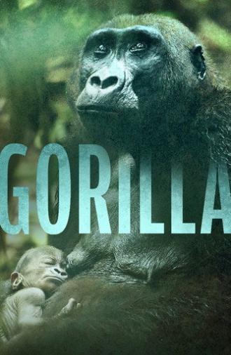 Gorilla (2024)