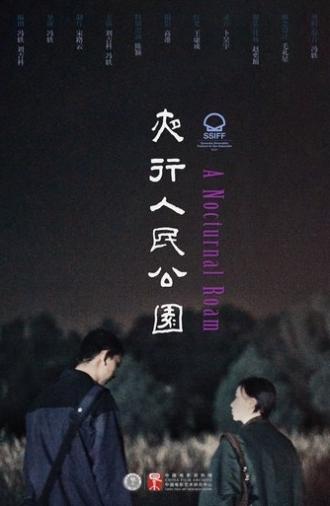 A Nocturnal Roam (2021)