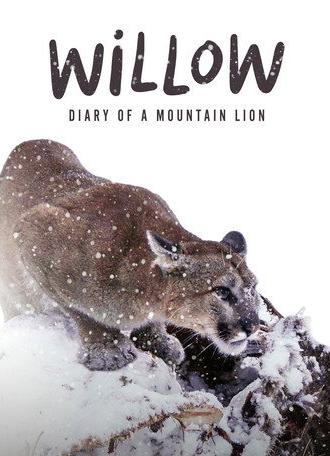 Willow: Diary of a Mountain Lion (2025)