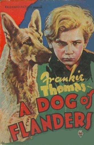 A Dog of Flanders (1935)