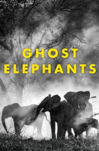 Ghost Elephants (2025)