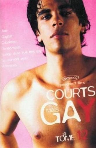 Courts mais Gay : Tome 12 (2006)