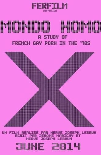 Mondo Homo: A Study of French Gay Porn in the '70s (2014)