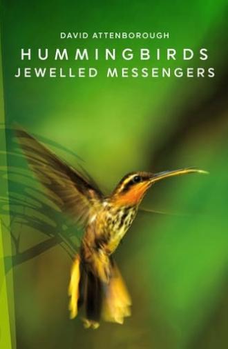 Hummingbirds: Jewelled Messengers (2012)