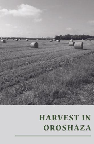 Harvest in Orosháza (1953)
