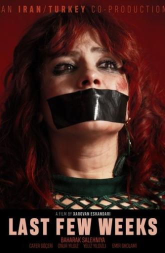 Last Few Weeks (2018)