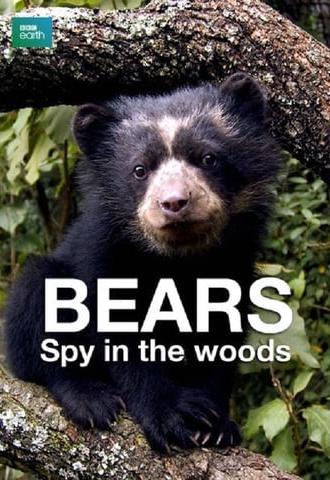 Bears: Spy in the Woods (2004)