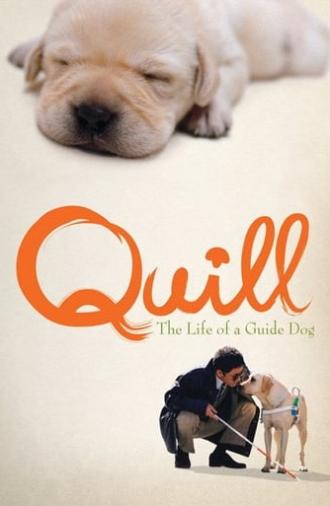 Quill: The Life of a Guide Dog (2004)