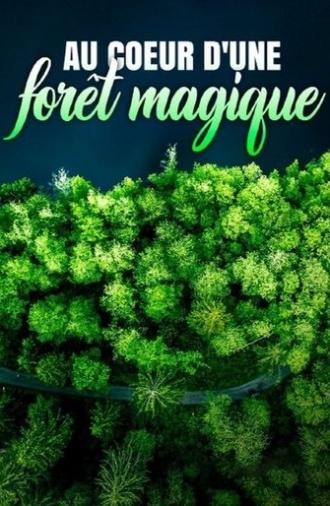 Au cœur d'une forêt magique (2023)