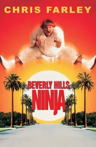 Beverly Hills Ninja (1997)