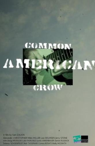 Common American Crow (2024)