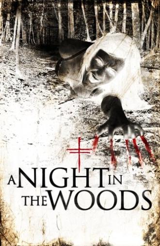 A Night in the Woods (2011)