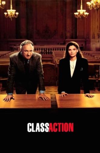 Class Action (1991)