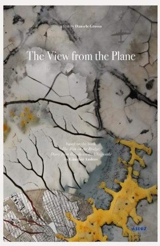 The View from the Plane (2024)