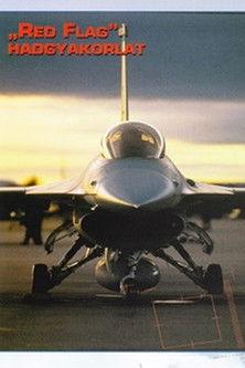 Combat in the Air - Red Flag (1997)