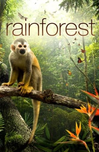 Secret Life of the Rainforest (2012)