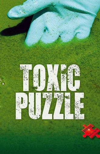 Toxic Puzzle (2017)