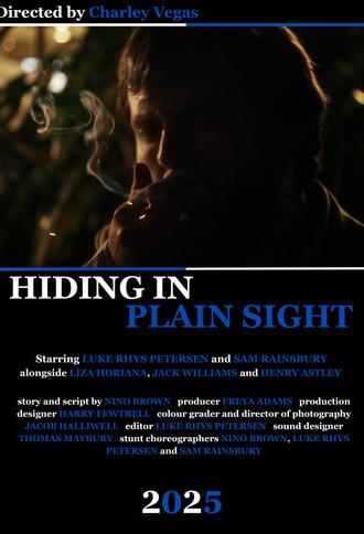 Hiding in Plain Sight (2025)