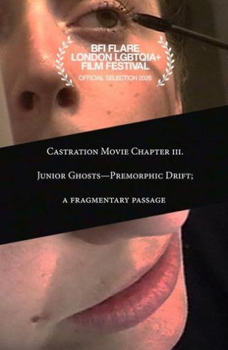 Castration Movie Chapter iii. Junior Ghosts—Premorphic Drift; a fragmentary passage (2026)