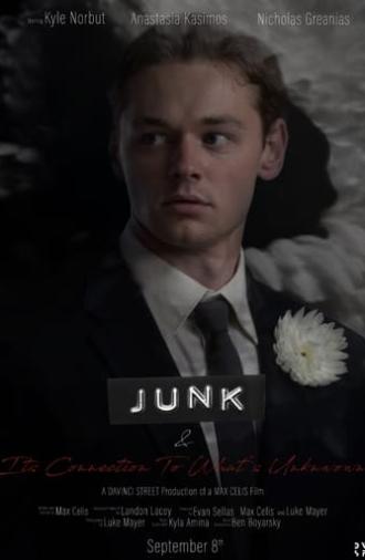 JUNK & Its Connection to What's Unknown (2021)