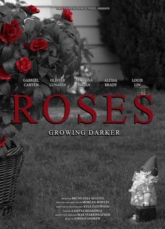 Roses (2020)