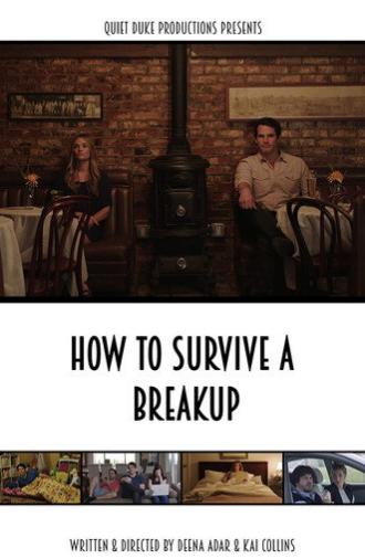 How to Survive a Breakup (2015)