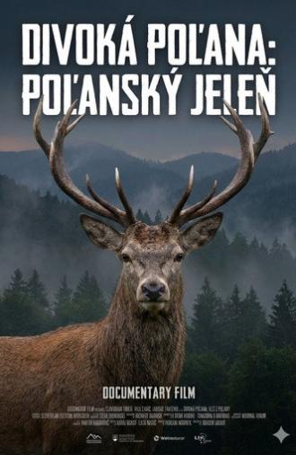 Divoká Poľana: Poľanský jeleň (2022)