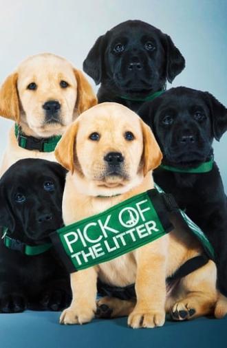 Pick of the Litter (2019)