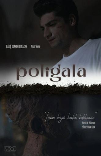 Poligala (2024)