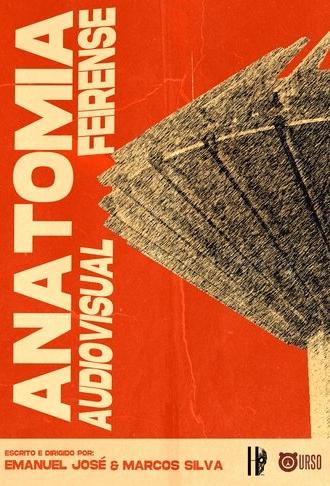 Anatomia Audiovisual Feirense (2024)