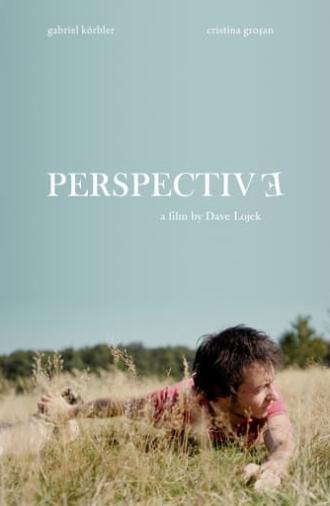 Perspective (2010)