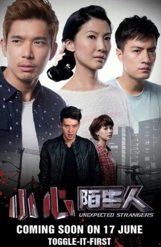 Unexpected Strangers (2014)