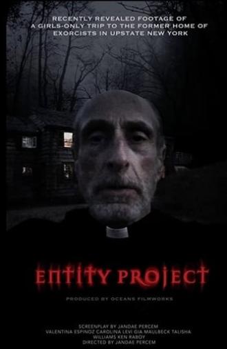 Entity Project (2019)