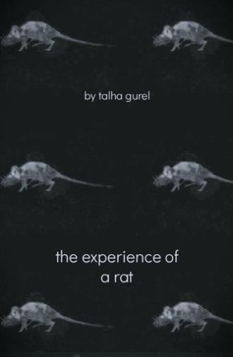 The Experience of a Rat (2025)