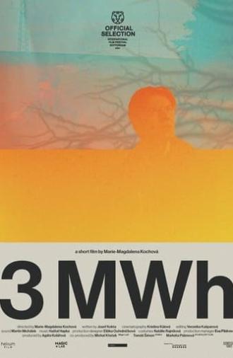 3 MWh (2024)