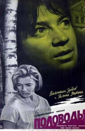 Polovodye (1963)