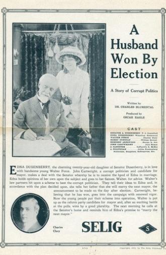 A Husband Won by Election (1913)